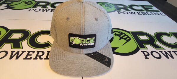 Gray Force Full Logo